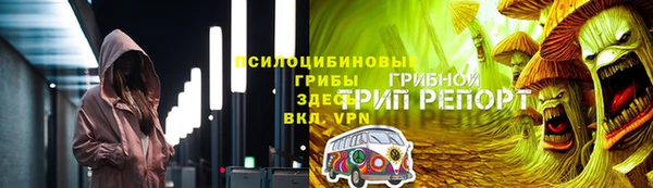 apvp Алзамай
