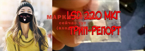 молекула духа Алексеевка