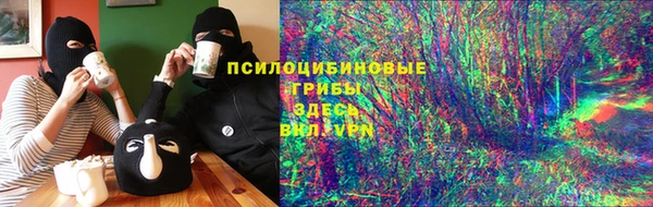 молекула духа Алексеевка