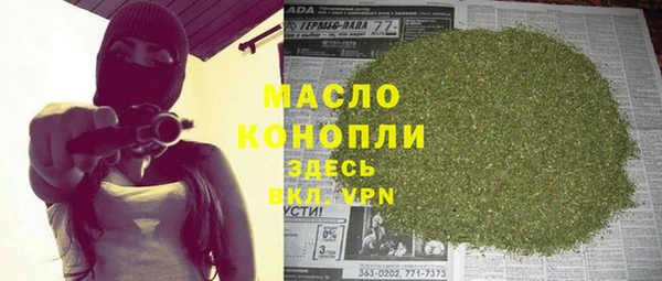 мет Алексин