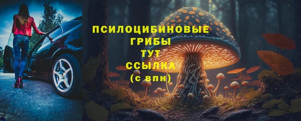 молекула духа Алексеевка