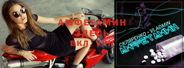 прущие грибы Абинск