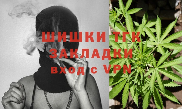 мет Алексин