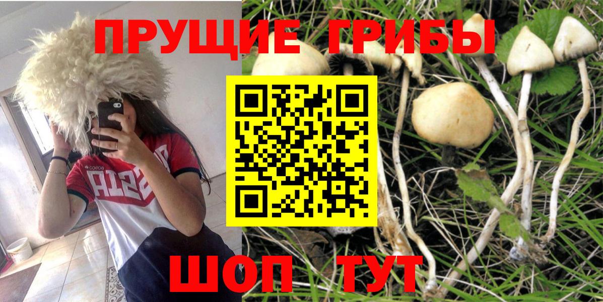 Галлюциногенные грибы Magic Shrooms  где можно купить наркотик  Переславль-Залесский  Вход с VPN 